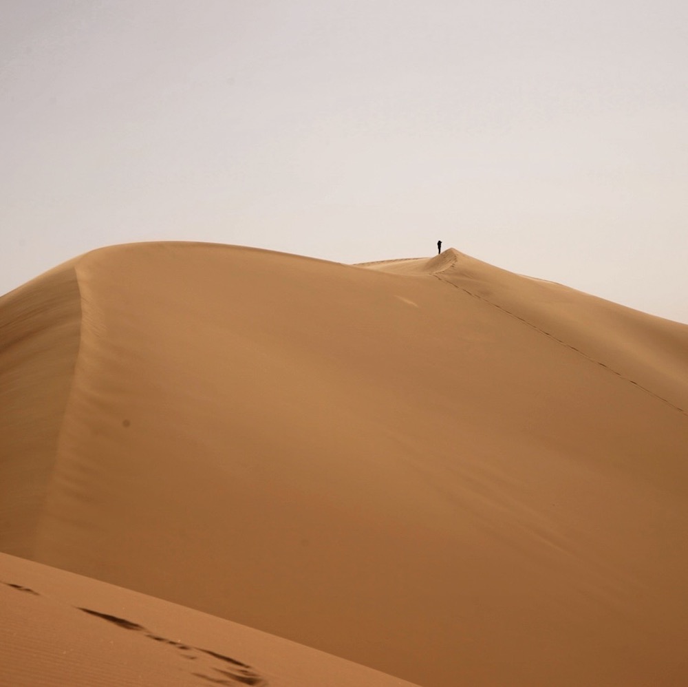 The dunes in the Sahara are almost like mountains. Their shape and height keeps changing with the wind